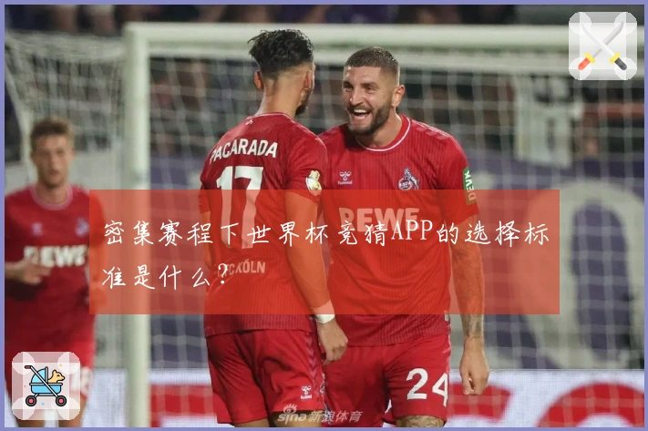 密集赛程下世界杯竞猜APP的选择标准是什么？
