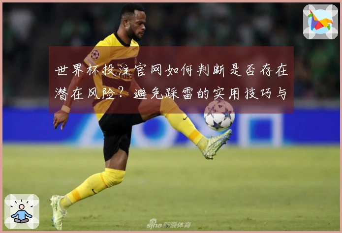 世界杯投注官网如何判断是否存在潜在风险？避免踩雷的实用技巧与建议