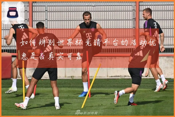 如何辨别世界杯竞猜平台的活动优惠是否真实可靠