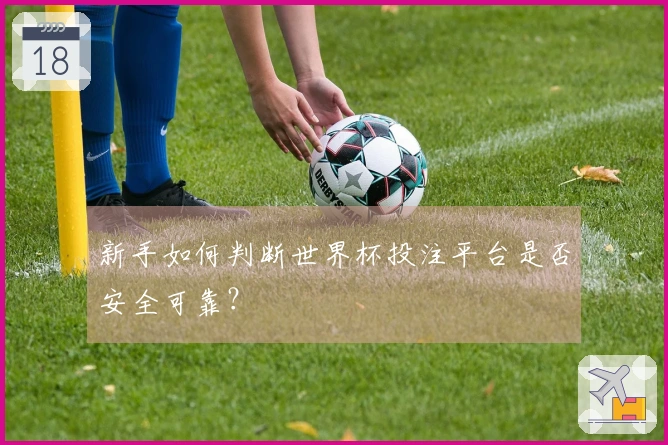 新手如何判断世界杯投注平台是否安全可靠？