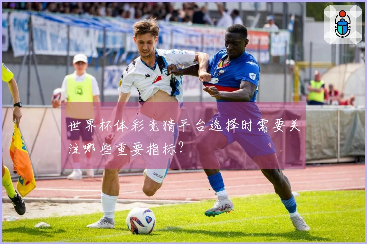 世界杯体彩竞猜平台选择时需要关注哪些重要指标？