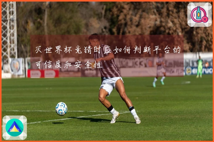 买世界杯竞猜时应如何判断平台的可信度和安全性