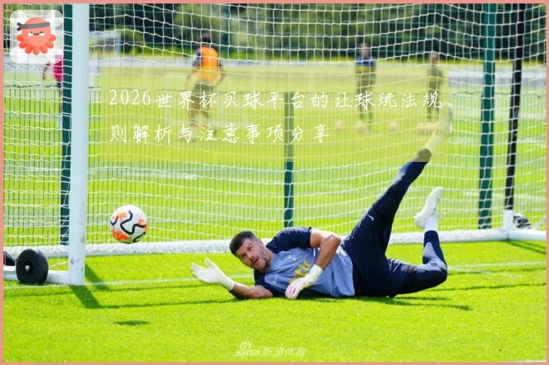 2026世界杯买球平台的让球玩法规则解析与注意事项分享