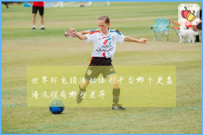 世界杯竞猜活动体彩平台哪个更靠谱流程有哪些差异