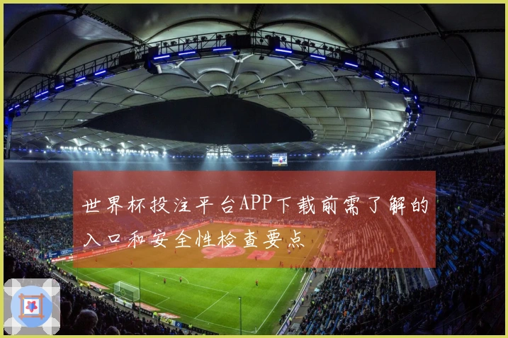 世界杯投注平台APP下载前需了解的入口和安全性检查要点
