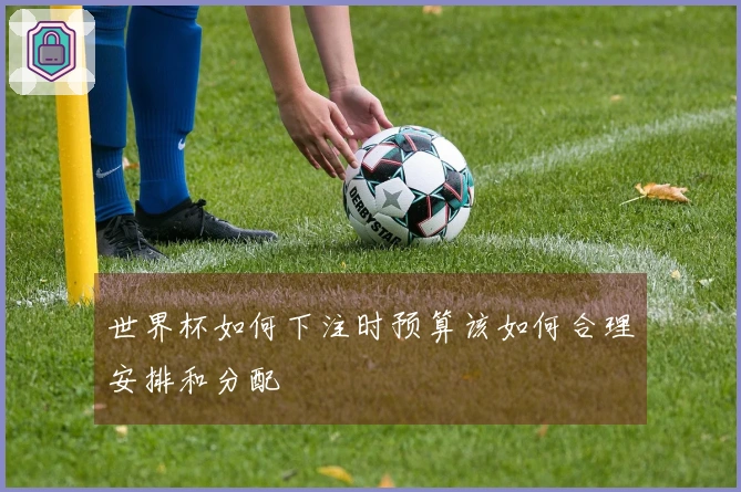 世界杯如何下注时预算该如何合理安排和分配