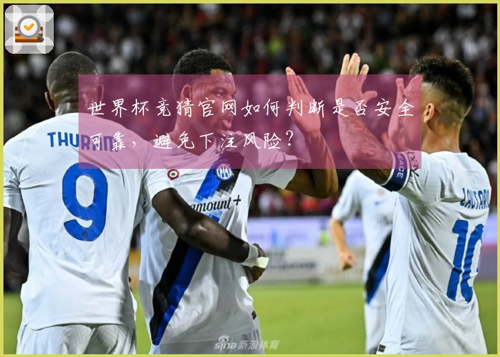 世界杯竞猜官网如何判断是否安全可靠，避免下注风险？