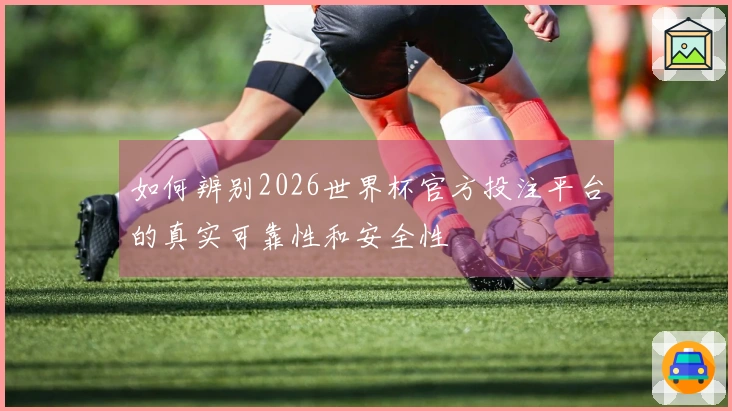 如何辨别2026世界杯官方投注平台的真实可靠性和安全性