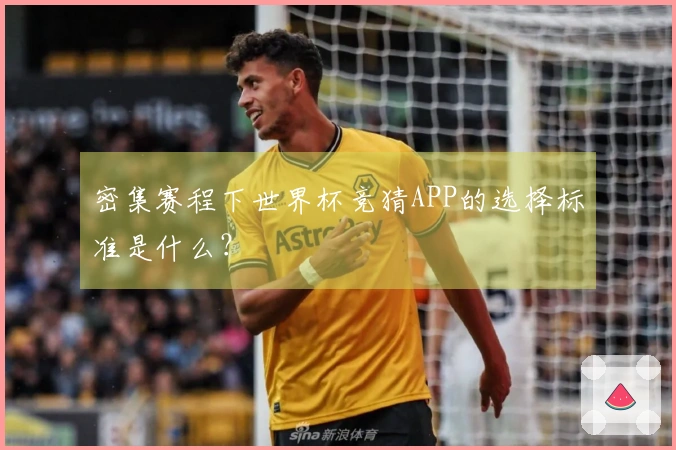 密集赛程下世界杯竞猜APP的选择标准是什么？