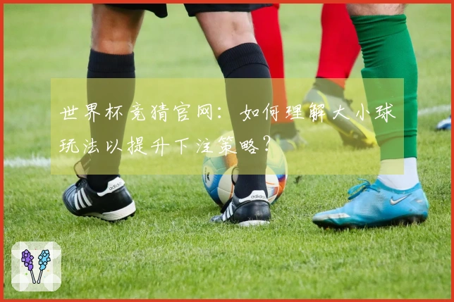 世界杯竞猜官网：如何理解大小球玩法以提升下注策略？