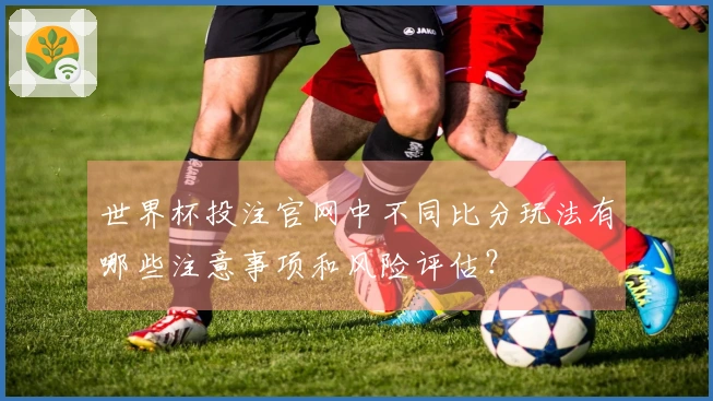 世界杯投注官网中不同比分玩法有哪些注意事项和风险评估？