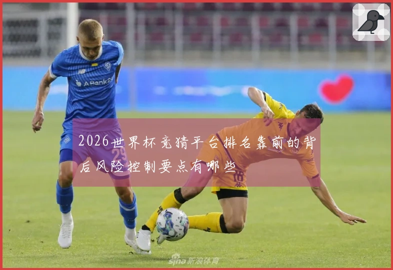 2026世界杯竞猜平台排名靠前的背后风险控制要点有哪些