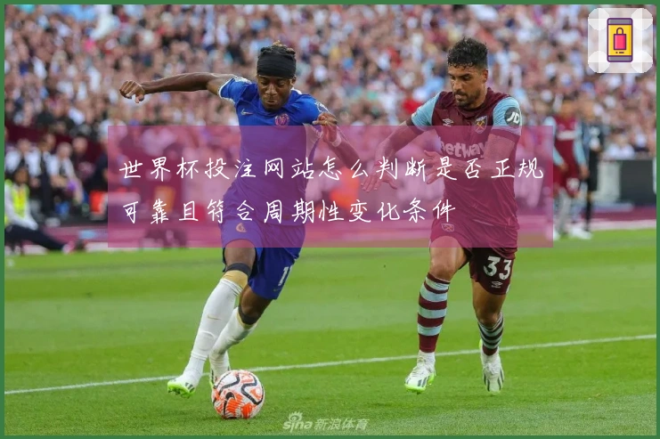 世界杯投注网站怎么判断是否正规可靠且符合周期性变化条件