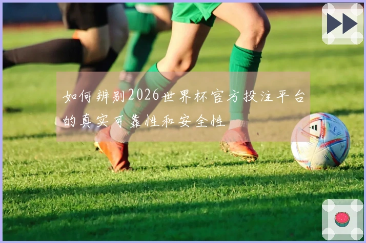 如何辨别2026世界杯官方投注平台的真实可靠性和安全性