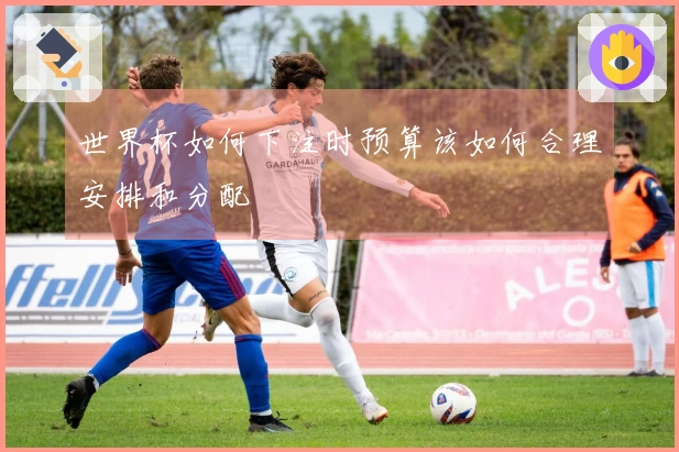 世界杯如何下注时预算该如何合理安排和分配