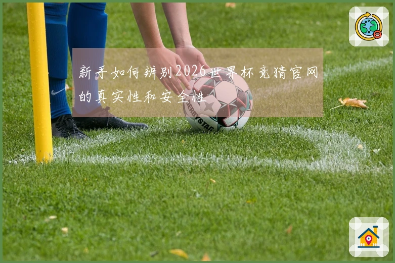 新手如何辨别2026世界杯竞猜官网的真实性和安全性