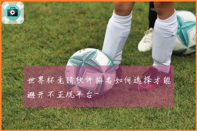 世界杯竞猜软件排名如何选择才能避开不正规平台-