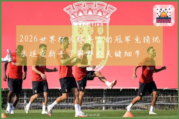 2026世界杯买球平台的冠军竞猜玩法适合新手了解哪些关键细节