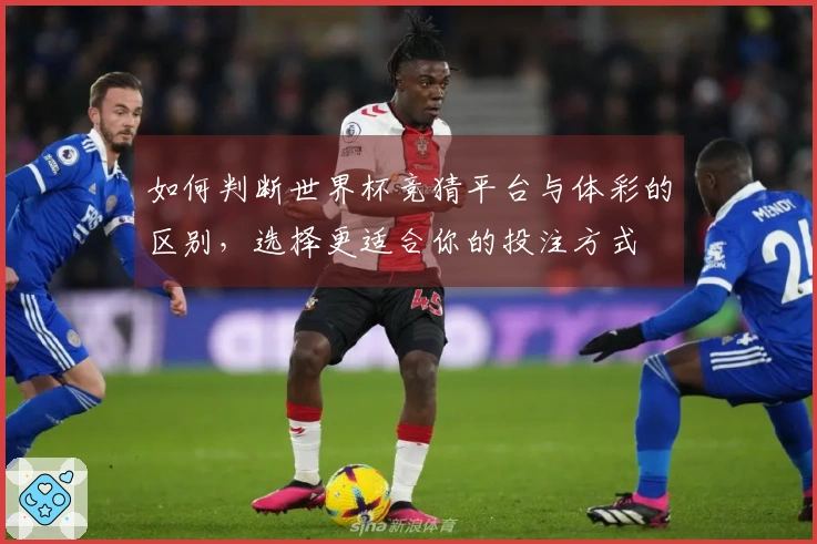 如何判断世界杯竞猜平台与体彩的区别，选择更适合你的投注方式
