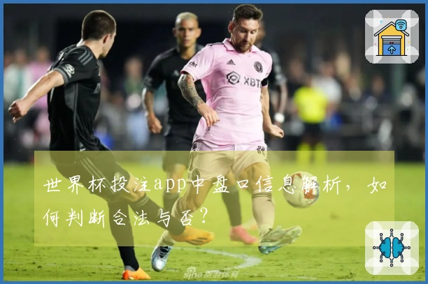 世界杯投注app中盘口信息解析，如何判断合法与否？