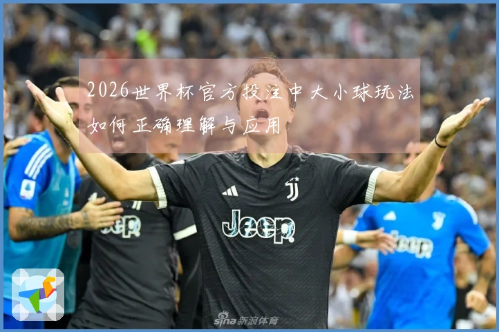 2026世界杯官方投注中大小球玩法如何正确理解与应用