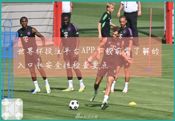世界杯投注平台APP下载前需了解的入口和安全性检查要点