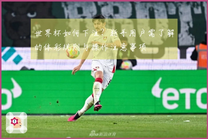世界杯如何下注？新手用户需了解的体彩规则与操作注意事项
