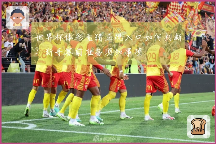 世界杯体彩竞猜正规入口如何判断？新手赛前准备须知事项