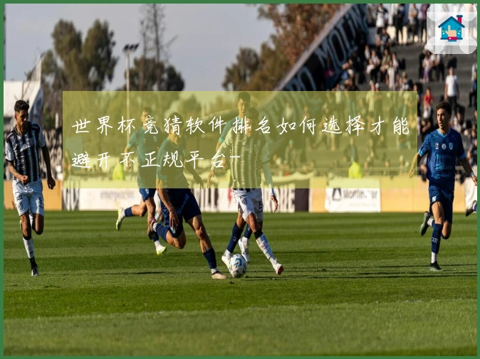 世界杯竞猜软件排名如何选择才能避开不正规平台-