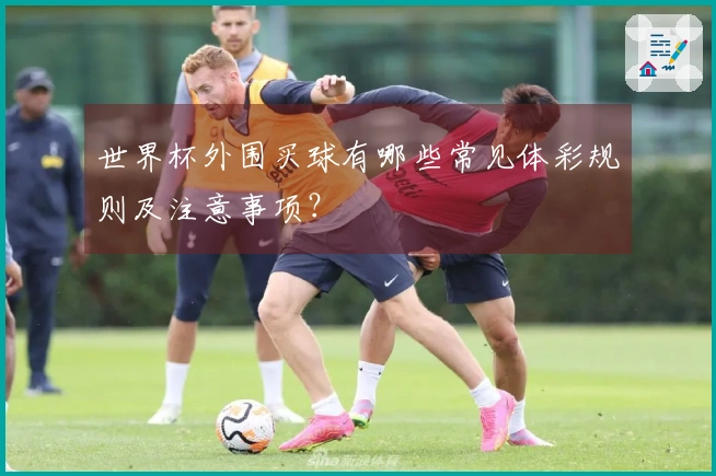 世界杯外围买球有哪些常见体彩规则及注意事项？