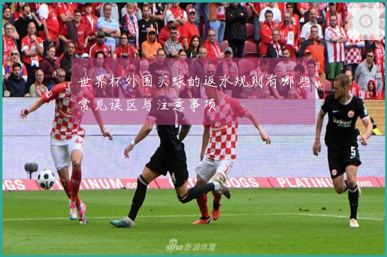 世界杯外围买球的返水规则有哪些常见误区与注意事项