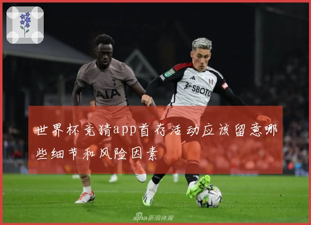 世界杯竞猜app首存活动应该留意哪些细节和风险因素