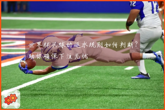 世界杯买球的返水规则如何判断？助你确保下注无忧