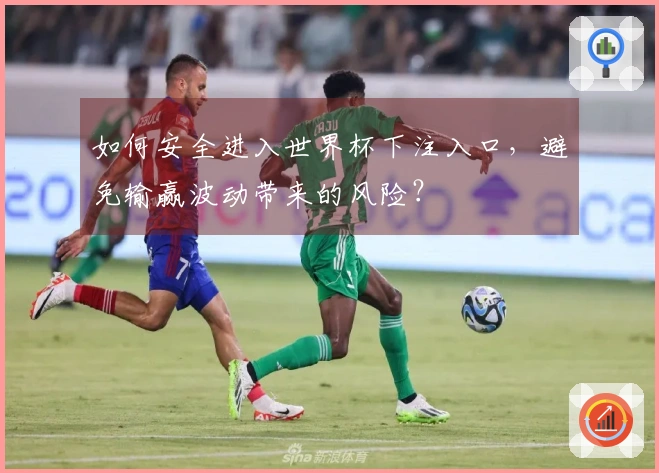 如何安全进入世界杯下注入口，避免输赢波动带来的风险？
