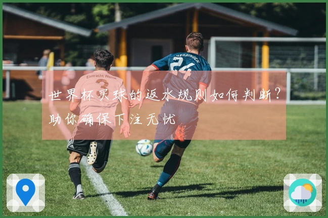 世界杯买球的返水规则如何判断？助你确保下注无忧