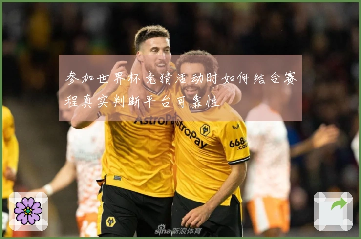 参加世界杯竞猜活动时如何结合赛程真实判断平台可靠性