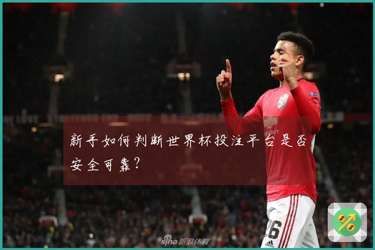 新手如何判断世界杯投注平台是否安全可靠？