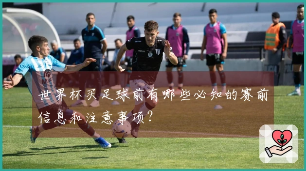 世界杯买足球前有哪些必知的赛前信息和注意事项？