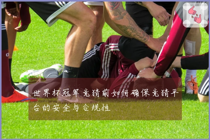 世界杯冠军竞猜前如何确保竞猜平台的安全与合规性
