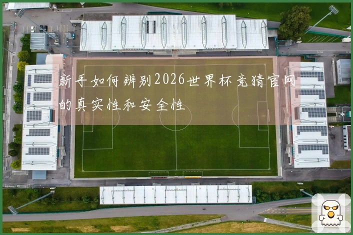 新手如何辨别2026世界杯竞猜官网的真实性和安全性