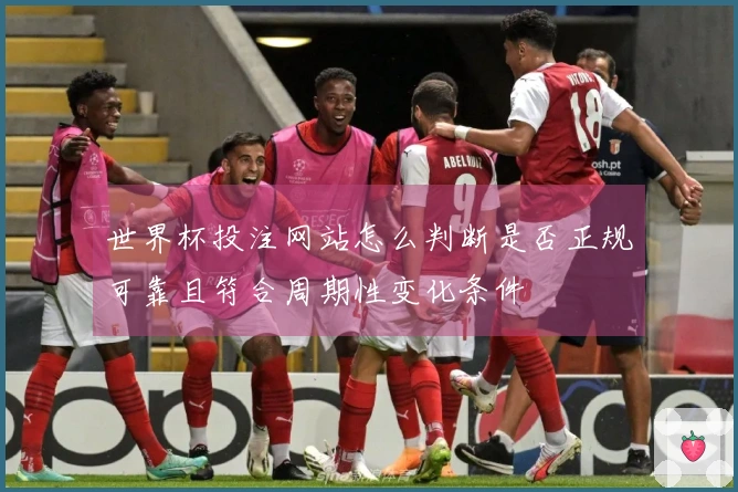世界杯投注网站怎么判断是否正规可靠且符合周期性变化条件
