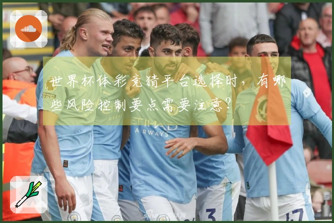 世界杯体彩竞猜平台选择时，有哪些风险控制要点需要注意？