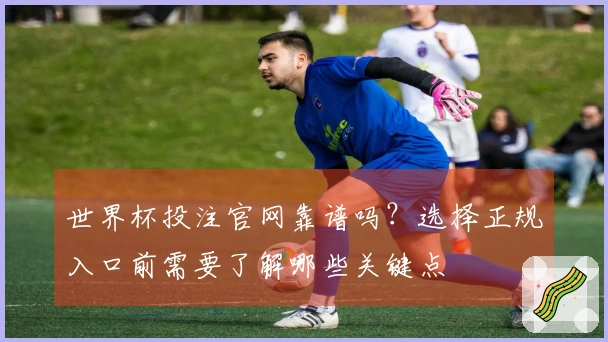世界杯投注官网靠谱吗？选择正规入口前需要了解哪些关键点